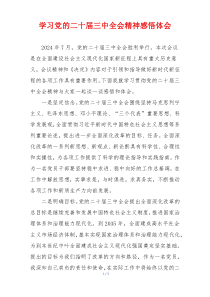 学习党的二十届三中全会精神感悟体会