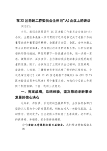 (整理)在2025年区老龄工作委员会全体(扩大)会议上的讲话