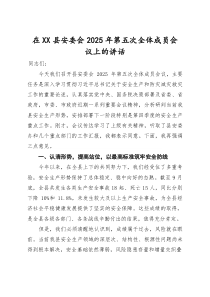 (整理)在2025年县安委会2025年第五次全体成员会议上的讲话