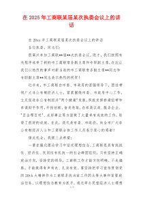 在2025年工商联某届某次执委会议上的讲话