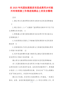 在2025年巩固拓展脱贫攻坚成果同乡村振兴有效衔接工作推进视频会上的发言整理
