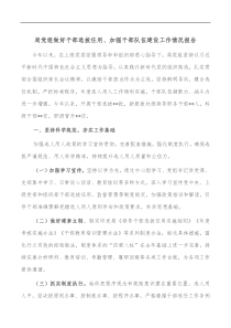 局党组做好干部选拔任用加强干部队伍建设工作情况报告