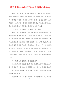 学习贯彻中央经济工作会议精神心得体会