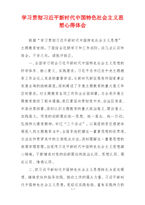 学习贯彻习近平新时代中国特色社会主义思想心得体会