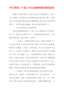 学习贯彻二十届三中全会精神落实情况报告