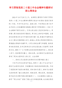 学习贯彻党的二十届三中全会精神专题研讨班心得体会