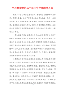 学习贯彻党的二十届三中全会精神人大