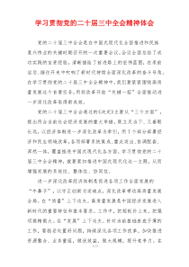 学习贯彻党的二十届三中全会精神体会