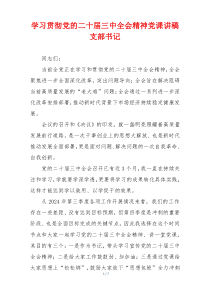 学习贯彻党的二十届三中全会精神党课讲稿支部书记