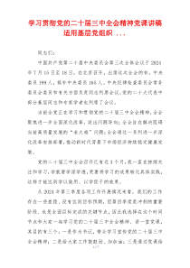 学习贯彻党的二十届三中全会精神党课讲稿适用基层党组织 ...