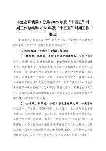 (整理)市生态环境局分局2025年及“十四五”时期工作总结和2026年及“十五五”时期工作要点