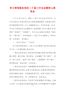 学习贯彻落实党的二十届三中全会精神心得体会