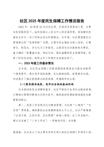 (整理)社区2025年度民生保障工作情况报告