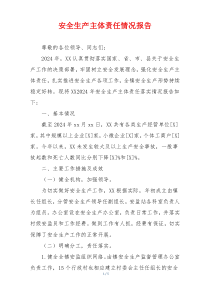 安全生产主体责任情况报告