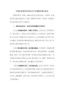 市场监督管理局党组关于巡察整改情况报告