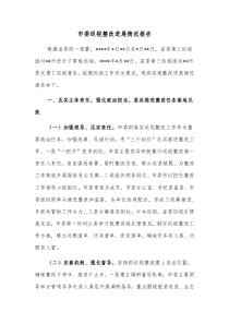 市委巡视整改进展情况报告