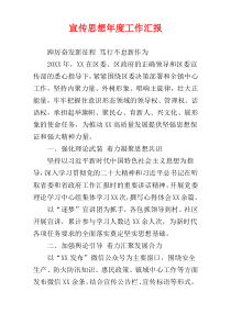 宣传思想年度工作汇报