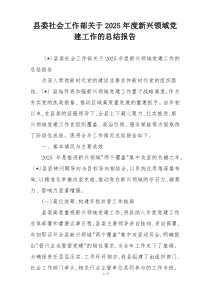 县委社会工作部关于2025年度新兴领域党建工作的总结报告