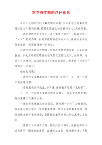 对党总支部的点评意见