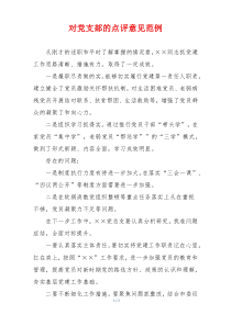 对党支部的点评意见范例