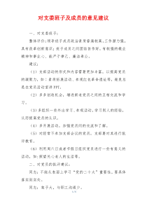 对支委班子及成员的意见建议