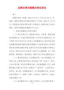 巡察反馈问题整改情况报告