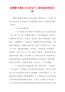 巡察整专题民主生活会个人检视剖析情况汇报