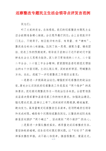 巡察整改专题民主生活会领导点评发言范例