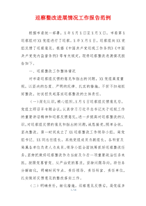 巡察整改进展情况工作报告范例