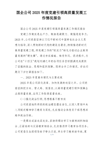 国企公司2025年度党建引领高质量发展工作情况报告