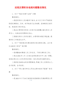 巡视反馈财务违规问题整改情况
