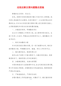 巡视巡察反馈问题整改措施