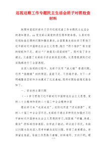 巡视巡察工作专题民主生活会班子对照检查材料