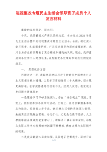 巡视整改专题民主生活会领导班子成员个人发言材料