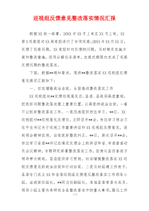 巡视组反馈意见整改落实情况汇报