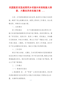 巩固脱贫攻坚成果同乡村振兴有效衔接大排查、大整改具体实施方案 ...