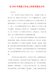 在2025年党委工作会上的讲话国企公司