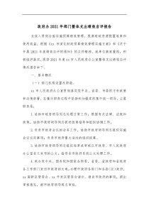 政府办20XX年部门整体支出绩效自评报告