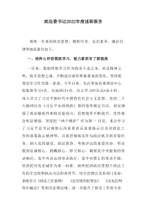 政法委书记20XX年度述职报告