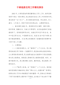 干部选拔任用工作情况报告