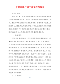 干部选拔任用工作情况的报告