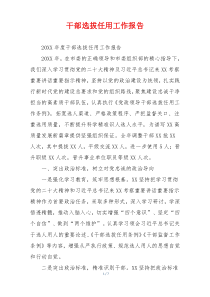 干部选拔任用工作报告