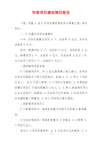 年度项目建设情况报告