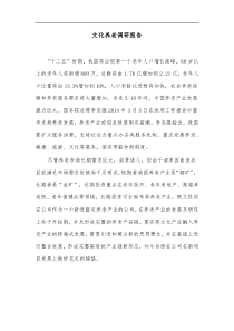 文化养老调研报告