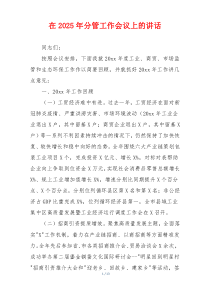 在2025年分管工作会议上的讲话