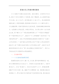 某地文化工作基本情况报告