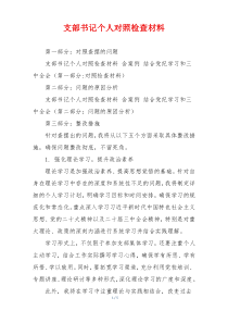 支部书记个人对照检查材料