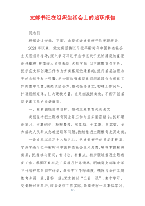 支部书记在组织生活会上的述职报告