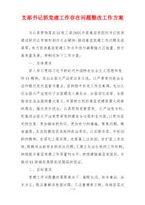 支部书记抓党建工作存在问题整改工作方案