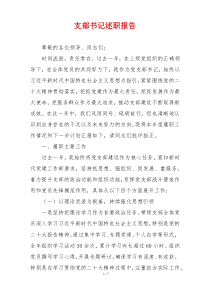 支部书记述职报告
